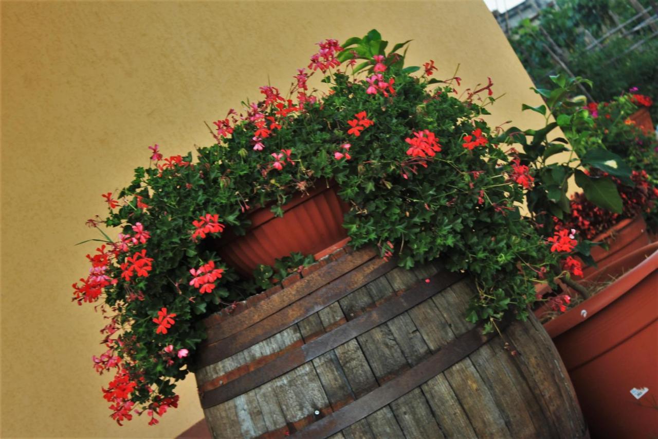 Mansarda Fiorita Bed & Breakfast Abatemarco Exterior photo
