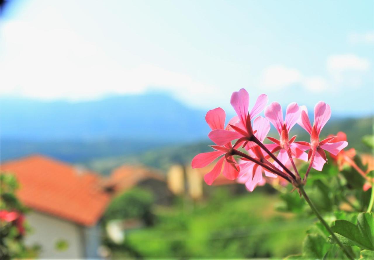 Mansarda Fiorita Bed & Breakfast Abatemarco Exterior photo